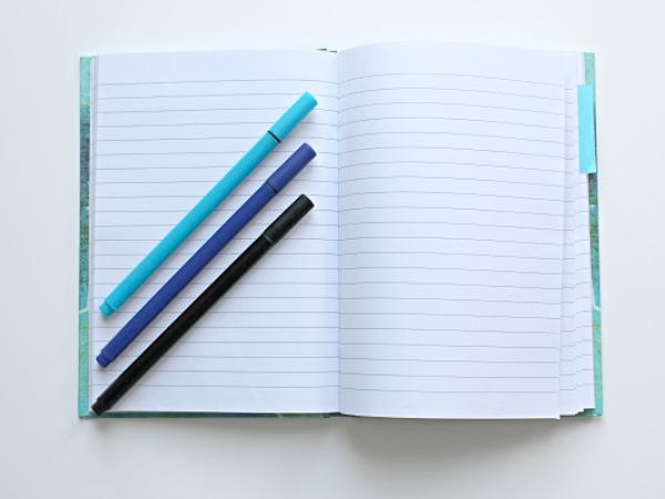 Snoeien in het schoolvak Nederlands is een heilloze weg