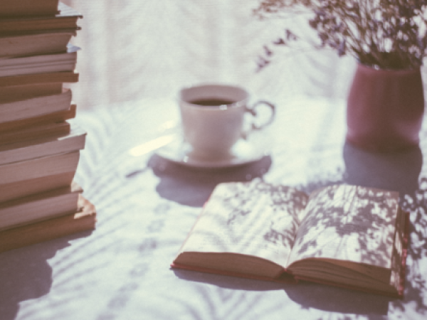 De KANTL trakteert op literatuur, een hele zomer lang